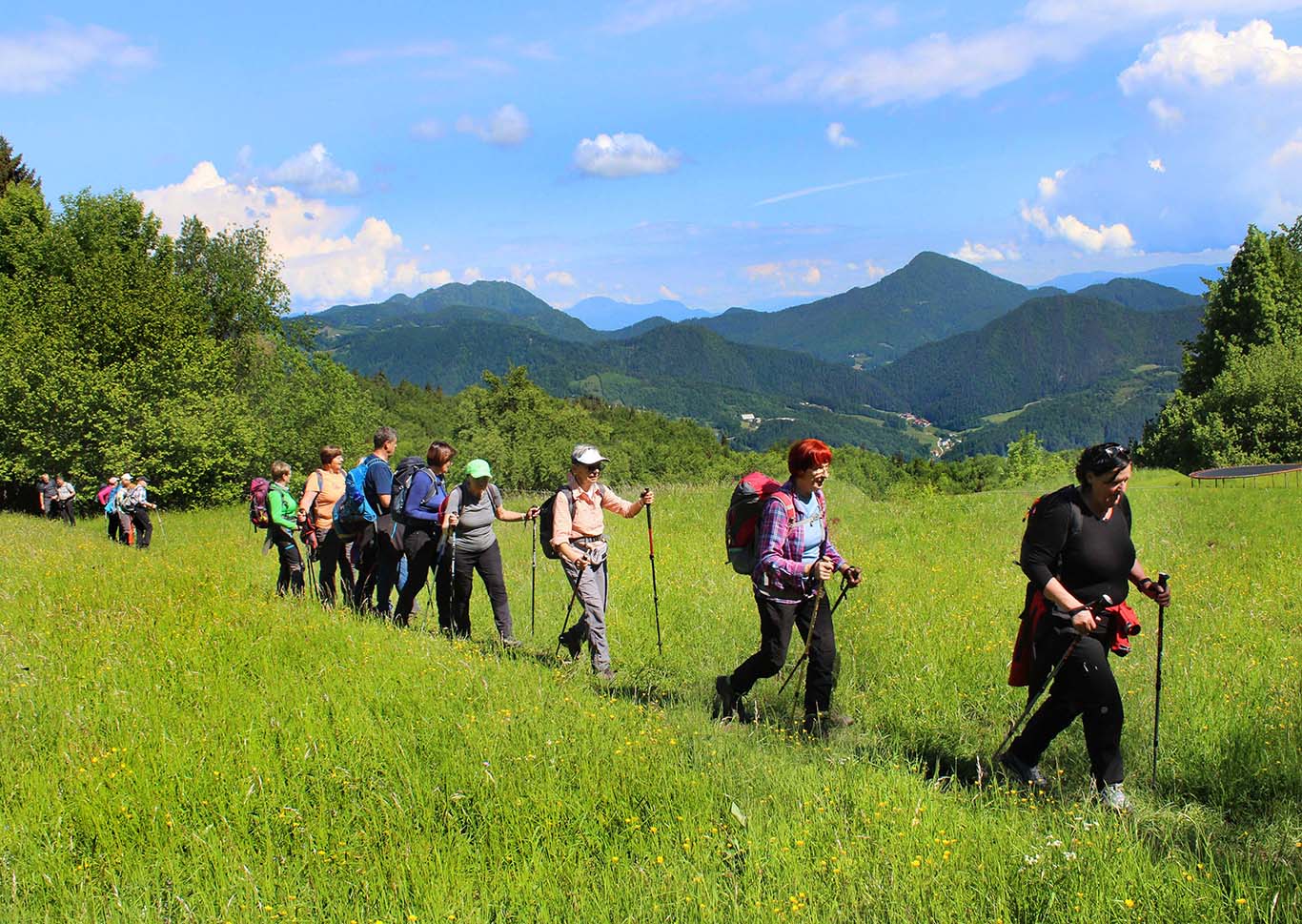 Pot navzgor nas je vodila skozi gozd in čez travnike …