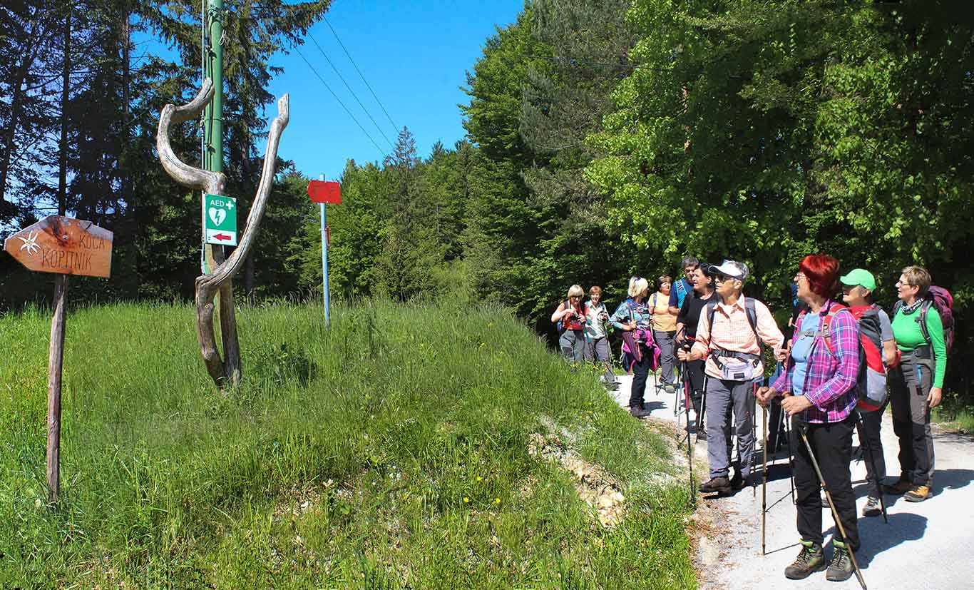 … na cesto med Gorami in Kopitnikom