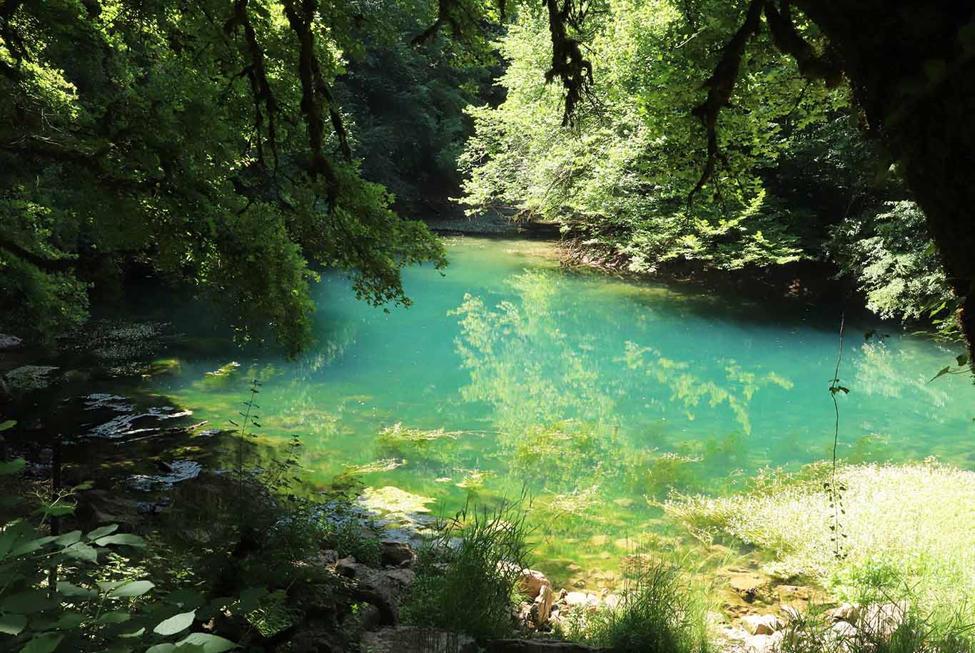 Izvir Cemun, vodna oaza