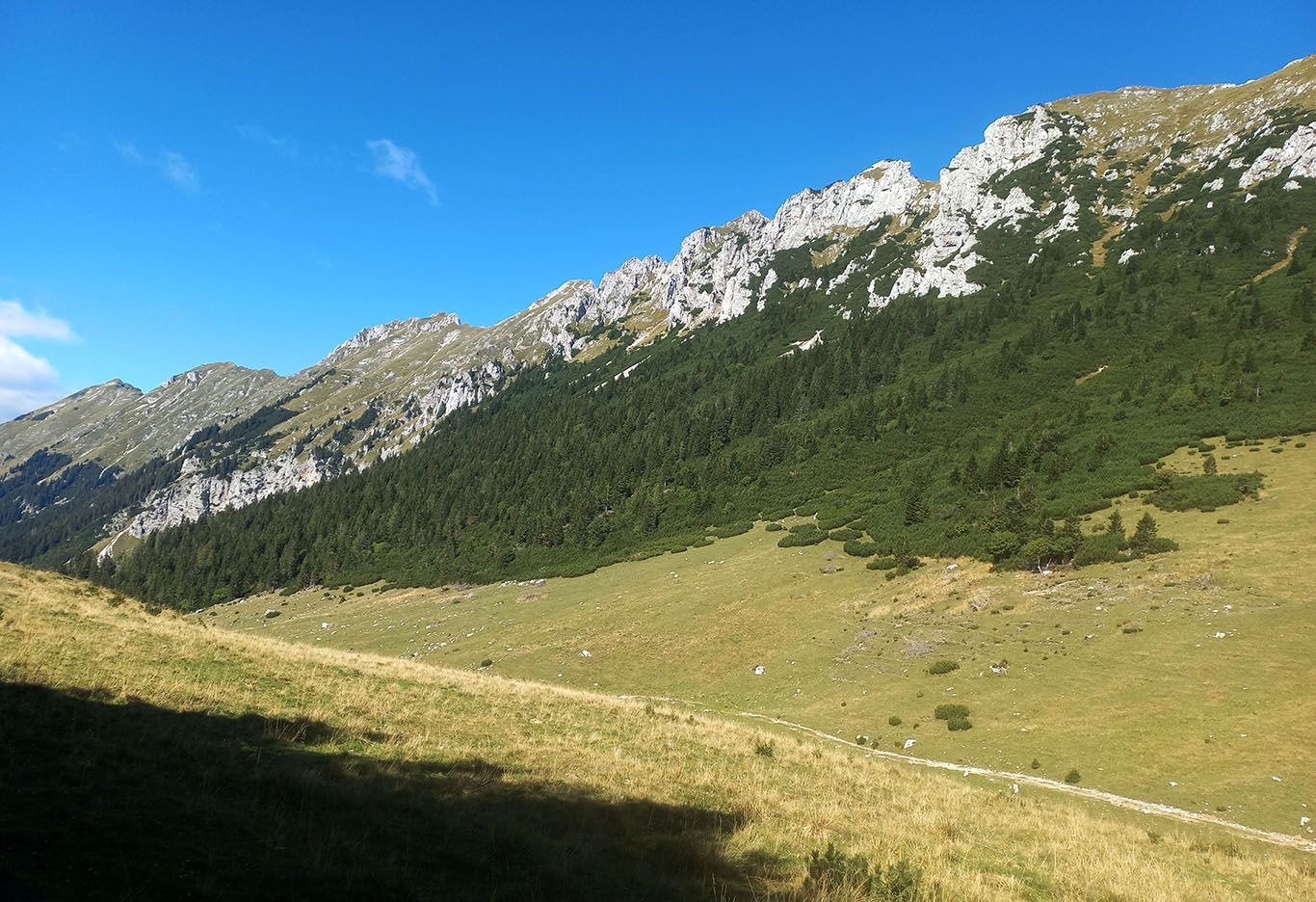 Obsežna planina Zgornja Dolga planina pod vzhodnim delom grebena Košute