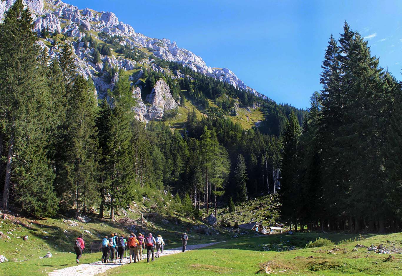 … planino Spodnja Dolga njiva pod pobočji Košutnikovega turna