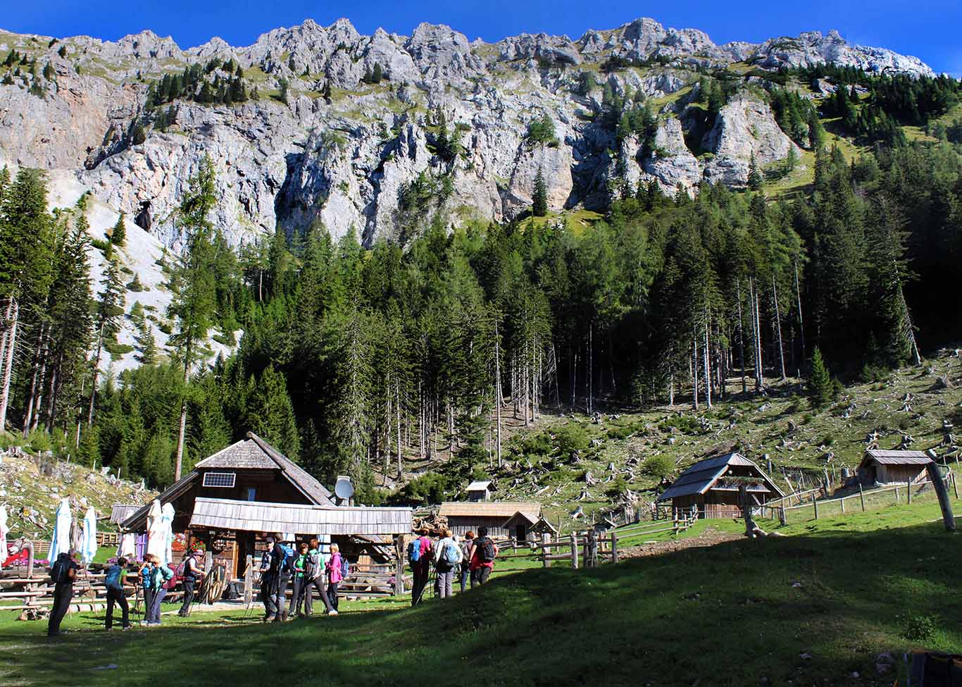 Tu stoji v čudovitem okolju gostoljubna pastirska koča